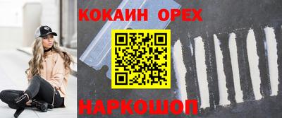 крисы Новозыбков