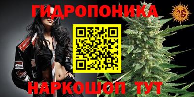 бошки Новодвинск