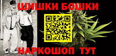 бошки Новодвинск