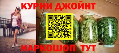 крисы Новозыбков