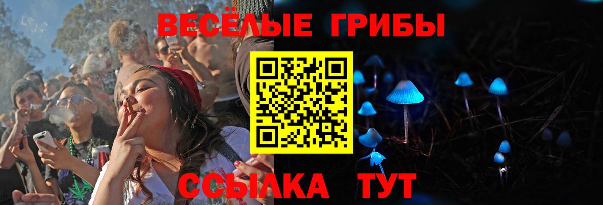 Псилоцибиновые грибы прущие грибы  Вход с VPN  Тара  Псилоцибиновые грибы Psilocybine cubensis 